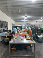 Gedroogde mango Gedroogd fruit Gedroogd voedsel Gedroogde mango exporteur Vietnam_ WA84786436556 OEM verpakking Klaar voor export