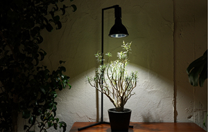 Lámparas de pie de tira LED de 20W de alta calidad para invernadero estilo de diseño moderno bonita decoración de crecimiento de plantas para sala de estar - Product Image 6