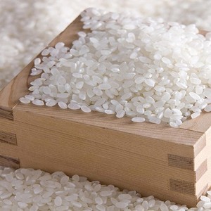 CALIDAD SUPERIOR EL DESTACADO VIETNAMITA JAPONICA SUSHI RICE RIZ CALIDAD ETIQUETA PRIVADA GRANO CORTO/REDONDO AL POR MAYOR, EXPORTACIÓN BARATA - Product Image 1