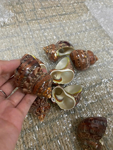 Servilleteros de Lujo Naturales Pulidos, Accesorios de Mesa Hechos a Mano para Bodas, Fiestas y Eventos, Proveedor Mayorista - Product Image 4
