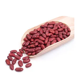 最优质的天然干红豆价格优惠乌兹别克斯坦产品散装红色斑点芸豆