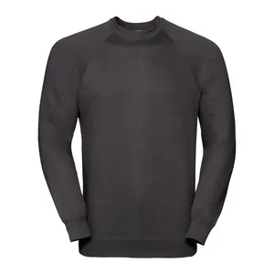 Sweat-shirt classique personnalisé pour adultes, pour sweats à capuche promotionnels et articles de merchandising - Product Image 1