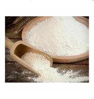 Herbojit International Poudre de Vanille Lyophilisée la Plus Vendue 100% Naturelle Arôme Supérieur Additif Alimentaire de Qualité Supérieure Riche en Arômes en Vrac