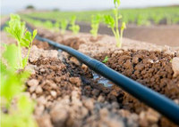Tuyaux d'irrigation en PEHD de différents diamètres, en plastique, pour l'irrigation, en rouleaux de 100m, 200m et 300m, pour l'alimentation en eau