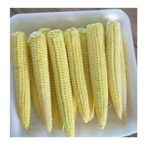 Disfrute del brillante sabor del maíz enlatado de Vietnam Delicioso maíz enlatado que está listo para servir en segundos - Product Image 1