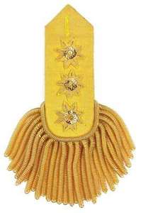 Épaulettes en cuir PVC polyester doré, franges brodées, pompons, épaulettes personnalisables, couleur personnalisable, utilisation en extérieur - Product Image 4