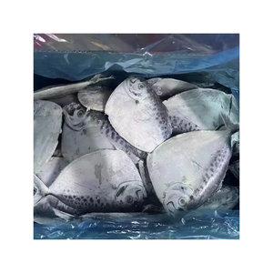 Bán buôn đông lạnh <span class=keywords><strong>moonfish</strong></span> WR số lượng lớn Thùng carton cao cấp toàn bộ vòng cá đã sẵn sàng cho lô hàng - Product Image 2