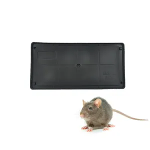 Placa adesiva para mouse, à prova d'água, poderoso, roedores, baratas, cola, armadilha