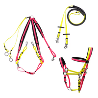 Ensemble complet d'équipement d'équitation d'endurance en cuir pour chevaux, avec selle western, licols et bridons en PVC et nylon, disponible en dropshipping