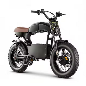 DL2000 Motocicleta Eléctrica Todoterreno de 4000W para Adultos, 44MPH, Estilo Ciclomotor, Batería de Litio, Aluminio, 12 Velocidades, Suspensión Completa - Product Image 1