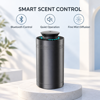Diffuseur d'air frais compact pour voiture de 20 ml avec application Bluetooth, fonctionnement silencieux à 34 dB et alimentation Type-C pour la conduite quotidienne et les voyages