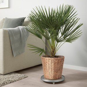 Pots à plantes robustes en matériaux naturels imperméables pour la décoration de la maison, du jardin et de la famille-Support personnalisé - Product Image 4