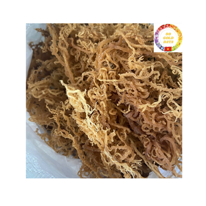 สาหร่ายอบแห้งจากธรรมชาติสีทองและสีม่วงสีทองมอสจากธรรมชาติผู้ผลิตในเวียดนาม - Product Image 3