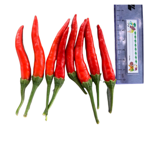 Fresh Vegetables Whole Spices High Quality Agricultural Vietnamese Products Good Price with After-Sales Service Raw Processing - Product Image 3