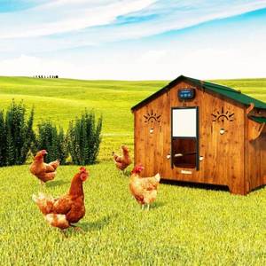 Gallinero de Casa grande resistente externo laminado HPL de alta calidad hecho en Italia - Product Image 5