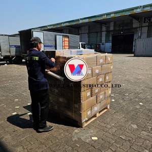 Poisson d'anchois séché de haute qualité du Vietnam/certifié HACPP pour la sécurité alimentaire/anchois séchés en gros disponible - Product Image 5