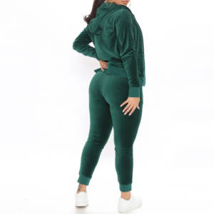 Acheter Custom Women 2 Piece Pant Set Sweatsuit Set Two Piece Cropped Zip up Hoodie and Pants Sets Velvet Tracksuit for Women 2026 - Product Image 4