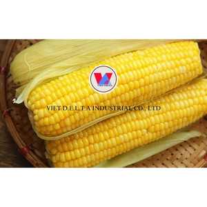 MAÍZ DULCE AMARILLO CONGELADO PARA APOYO INMUNE INGREDIENTES LIMPIOS - Product Image 5