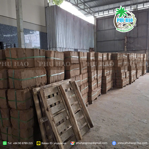 MEJOR VENTA PRODUCTO COCO PEAT de Viet Nam Enmienda de suelo Premium para agricultura y jardinería sostenibles - Product Image 2