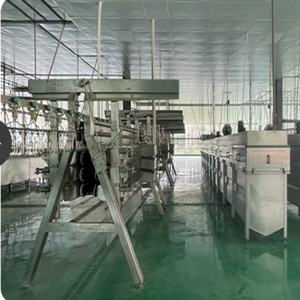 Ligne d'abattage automatique de volailles, équipement d'abattoir avicole pour 500 à 1000 oiseaux par heure, neuf ou d'occasion pour ferme abattoir - Product Image 1