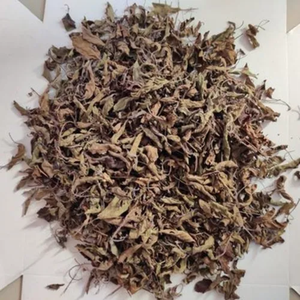 100% FEUILLES DE MORINGA SÉCHÉES NATURELLES APPROVISIONNEMENT EN VRAC À L'EXPORTATION - Product Image 3