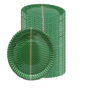 Assiette en papier écologique de 12 pouces 30 Gm bagasse de canne à sucre jetable pour les fêtes mettant l'accent sur la durabilité - Product Image 1