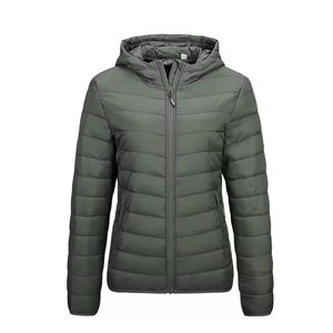 Veste matelassée à capuche pour femmes Manteau d'hiver léger pour femmes Chaud Mode Stylisée Extérieur Long Veste rembourrée Casual Ladies Wear - Product Image 1