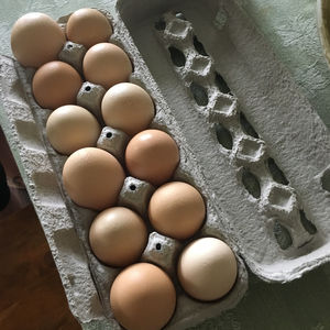 Huevos Frescos de Gallina de Primera Calidad, Marrones y Blancos, Ricos en Proteínas, Paquete a Granel con Alta Frescura, Calidad de Granja, Origen Tailandia - Product Image 5