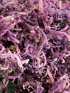 Vente en gros à prix réduit d'algues marines séchées pures Gracilaria et d'algues marines irlandaises sauvages d'origine vietnamienne, emballage personnalisé Vietnam - Product Image 5