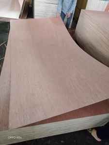 ไม้อัดเชิงพาณิชย์ดีไซน์ทันสมัย แกนไม้อัด พร้อมหน้าไม้บินทังกอร์ ผสมไม้เนื้อแข็งยูคาลิปตัส ขนาด 1220x2440 - Product Image 2