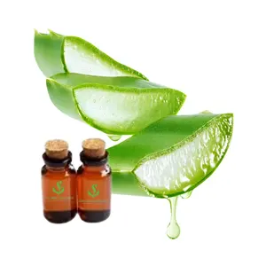 Bester Preis Aloe Vera Öl Haarwuchs Haut Aloe Vera Öl 100 reines Aloe Vera Öl für das Haar wachstum in loser Schüttung für Großeinkäufer