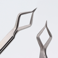 Pince à épiler professionnelle en acier inoxydable de qualité chirurgicale, logo personnalisé, pointe lisse, longueur 10 mm, pointe précise et durable pour cils