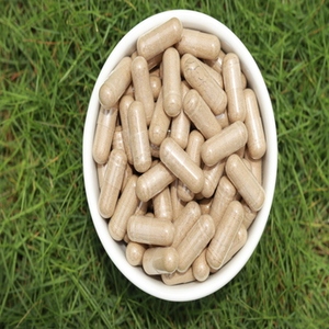 EU Certified Noni Capsules for Gut Health Good digestion starts right here With Nonis help your <b>path</b> is clear Gentle - Product Image 1