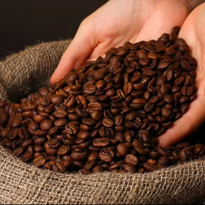Café moulu torréfié biologique d'Arabica du Vietnam, qualité AA+, 100% grains de café naturels, certifié ISO 22000, durée de conservation de 24 mois - Product Image 1