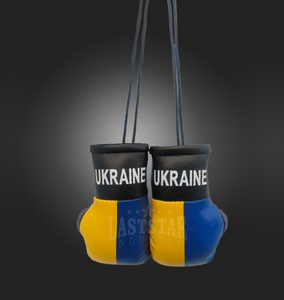Ucrania Guantes de boxeo Venta caliente Logotipo personalizado Mini guantes de boxeo México Italiano Alemania País Bandera Guantes de boxeo Colgante - Product Image 3