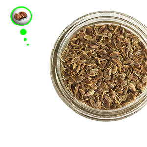 Dill | Organic Aroma <b>Product</b> for International Use - Product Image 1