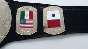 Wrestling Championship Belts Trophées Médailles et récompenses le symbole ultime de la victoire et de l'excellence Ceintures de championnat - Product Image 2