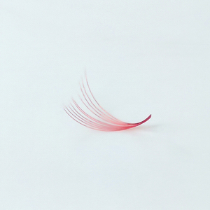 Extensiones de Pestañas Profesionales Promade Easy Fan, Suministros a Granel, Hechas a Mano, Naturales, Largas, de Fibra PBT Coreana, OEM/ODM - Product Image 4