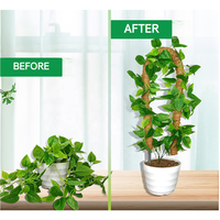 Tiges de mousse en fibre de coco pliables de 100 cm pour la maison et le jardin avec finition galvanisée, rehaussant la beauté naturelle des plantes Monstera - Vente en gros