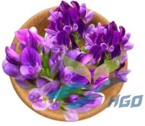 Suministro directo de fábrica HGO de extracto de alfalfa natural puro (Medicago sativa) (grado alimenticio) Especificación 10:1 (proporción de extracto) - Product Image 2