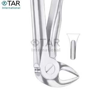 มะเดื่อ33L คีมถอนฟันขนาดต่างๆขายส่งราคาจำนวนมาก - Product Image 3
