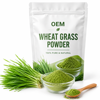 Poudre d'herbe de blé de haute qualité en gros, naturelle, à base de feuilles entières, qualité alimentaire, OEM ODM, marque privée, approvisionnement en vrac direct usine