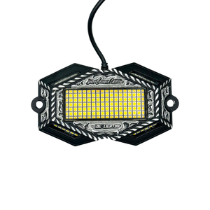 ไฟส่องหินแบบกันน้ำ North Georgia Lighting แกะสลักด้วยมือ 150 LED อะลูมิเนียมชุบอโนไดซ์ สีขาวบริสุทธิ์ ชุด 4 ชิ้น - Product Image 1