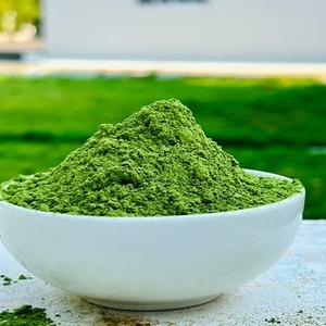 Extracto de hoja de Moringa Oleifera seco natural orgánico certificado, suministro sanitario - Product Image 2