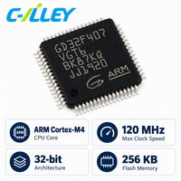 Mikrokontroler 32-bit berkinerja tinggi GD32F407VGT6