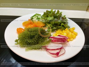 Algues vertes tendance, algues marines séchées, Caulerpa Lentillifera, raisin de mer, mousse marine déshydratée, exportation du Vietnam - Product Image 5