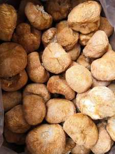 Hongo Melena de León Seco de Vietnam al por Mayor / Proveedor a Granel de Hericium Erinaceus - Product Image 6