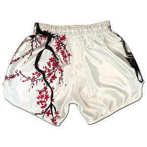 Boxer personnalisé sublimation MMA Satin Shorts unisexe Muay Thai Wrestling UFC Arts martiaux Grappling Shorts-Service OEM disponible - Product Image 6