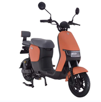 Cyclomoteur électrique à deux roues longue portée hors route petite moto électrique vélo Scooter électrique pédale approuvé 2024