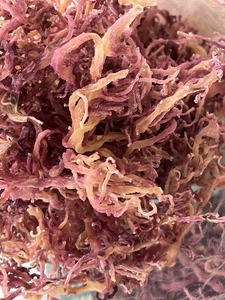 Seamoss sal seca marrón amarillo púrpura algas Eucheuma Cottonni Vietnam 100% musgo irlandés Natural Wildcrafted secado al sol - Product Image 2